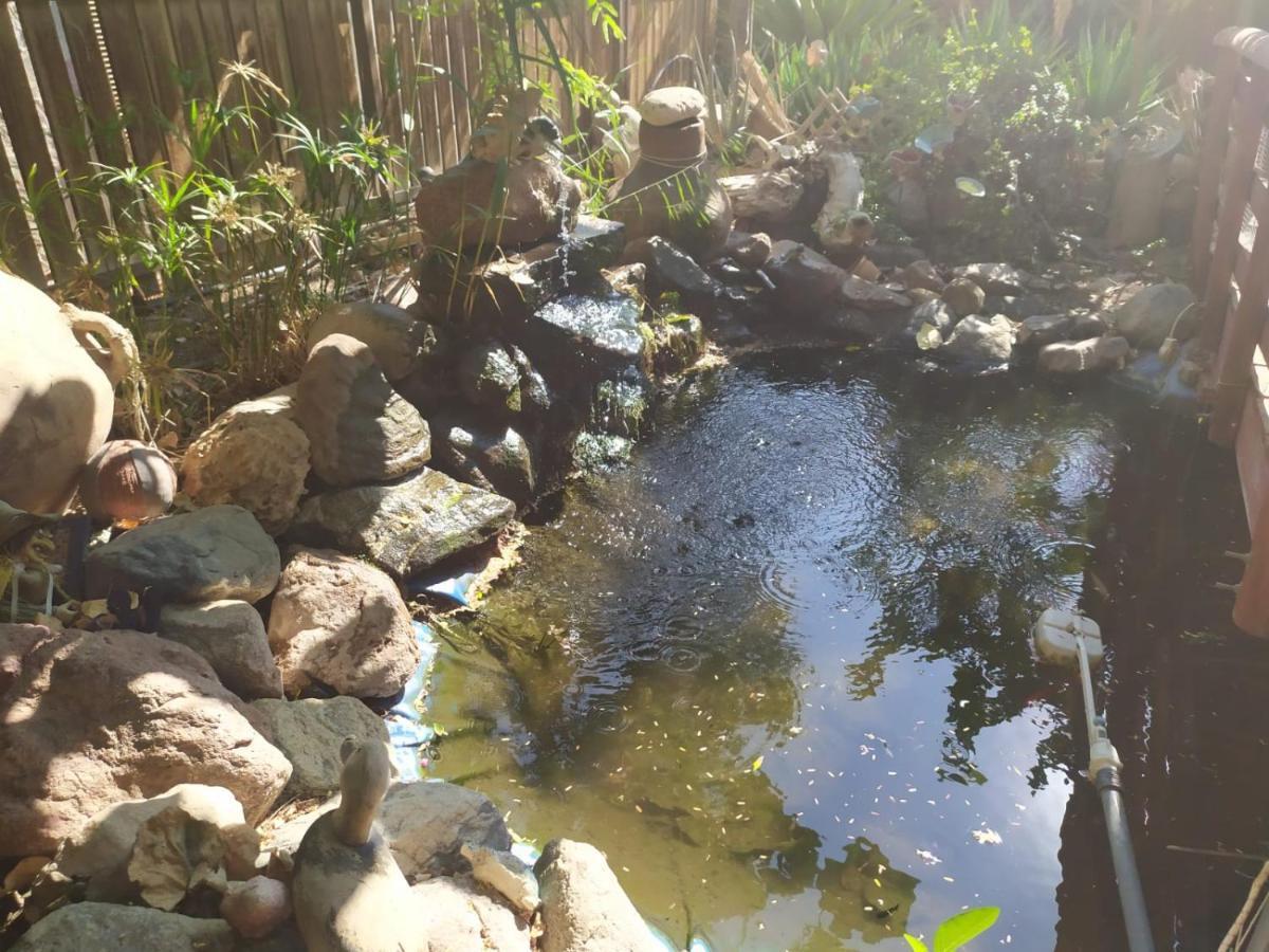 Appartement Lotus turtle garden Eilat Extérieur photo